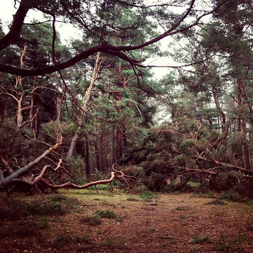 Bild uppladdad av Åsa Severinsson 