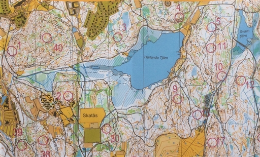 Bild uppladdad av Erik "Tricky" Fries