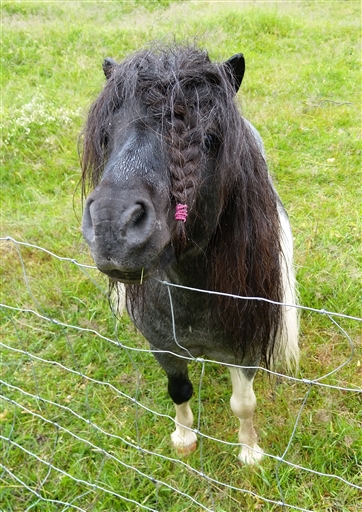 Bild uppladdad av Nicklas Nordborg