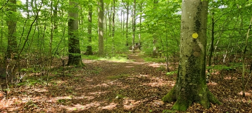 Bild uppladdad av Nicklas Nordborg