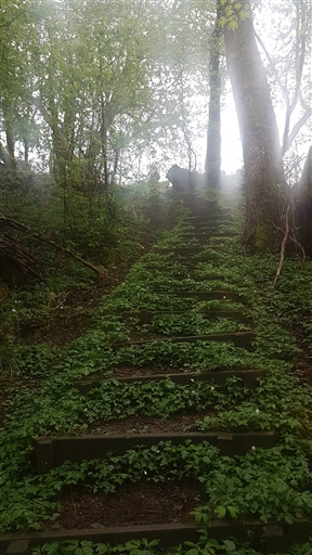 Bild uppladdad av Thomas Abrahamsson 