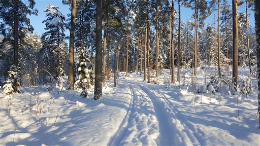 Bild uppladdad av Kalle Kula