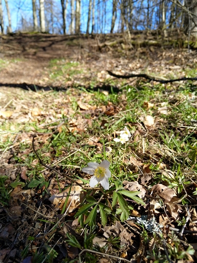 Bild uppladdad av Nicklas Nordborg