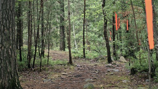 Bild uppladdad av bang engström