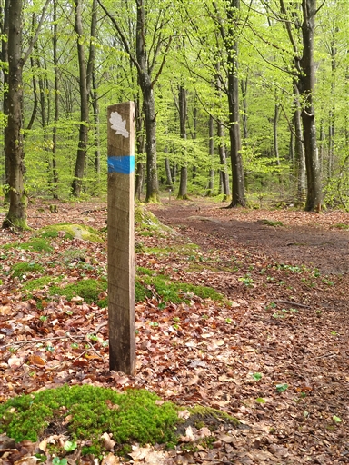 Bild uppladdad av Nicklas Nordborg