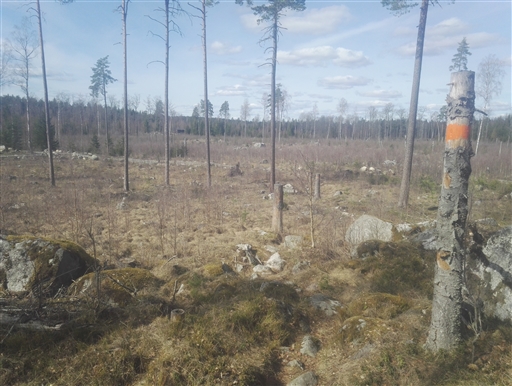 Bild uppladdad av Henrik Ortman