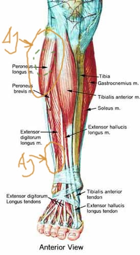 Bild uppladdad av Fredrik
