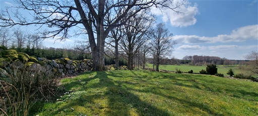 Bild uppladdad av Nicklas Nordborg