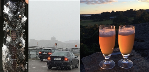 Bild uppladdad av Karel Friedl