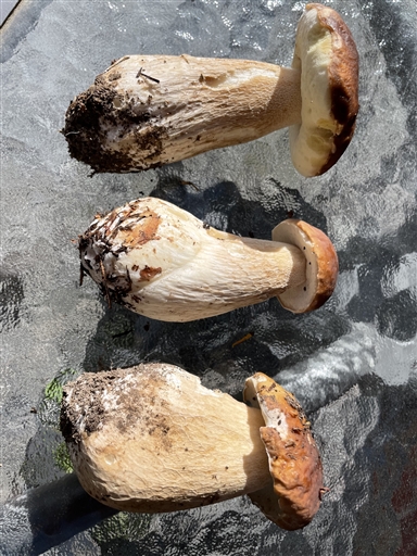 Bild uppladdad av Anders Carlsson