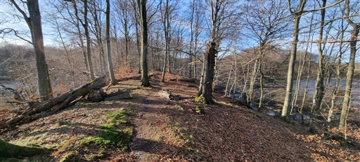 Bild uppladdad av Nicklas Nordborg