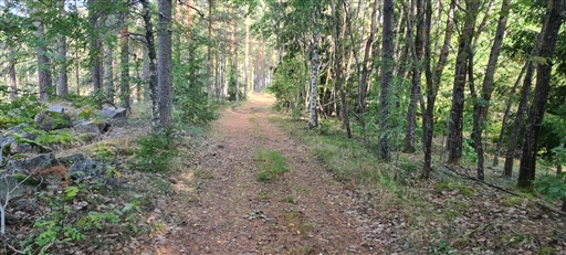 Bild uppladdad av Henrik Ortman