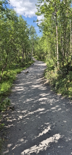 Bild uppladdad av Anna Elina Rönnbäck 