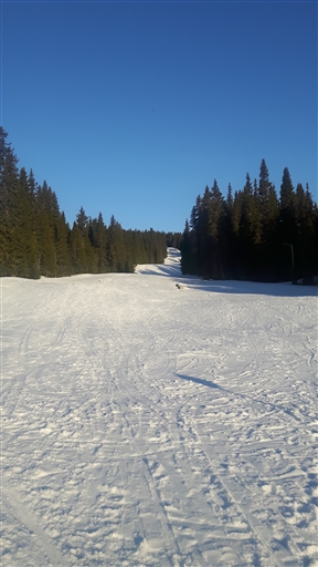 Bild uppladdad av Åke