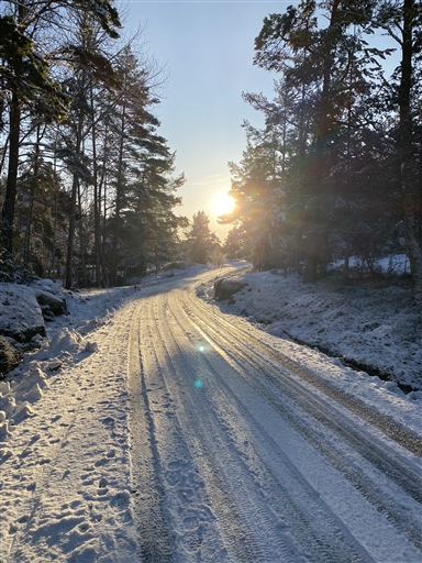 Bild uppladdad av Agneta Österman Lindquist