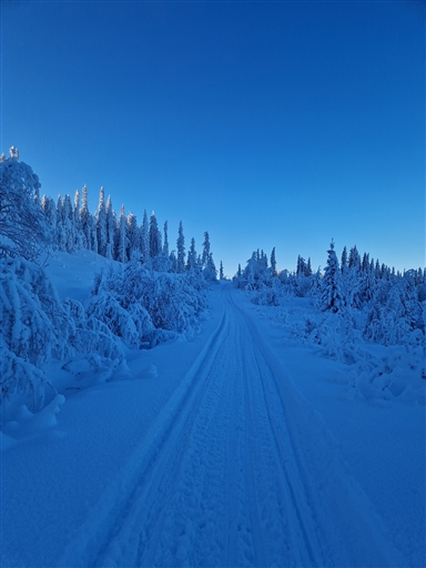 Bild uppladdad av Anna