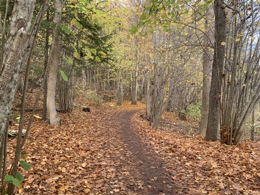 Bild uppladdad av Thomas Segerbrant