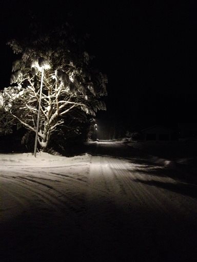 Bild uppladdad av Fredrik Jönsson