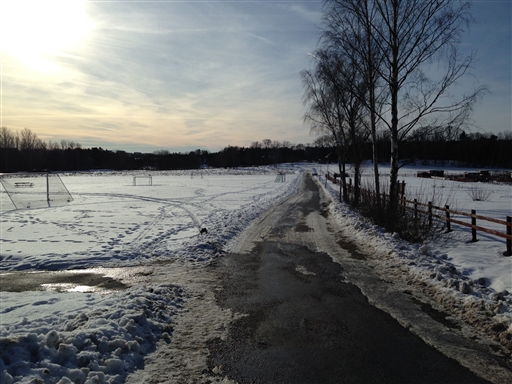 Bild uppladdad av Hobbylöparn