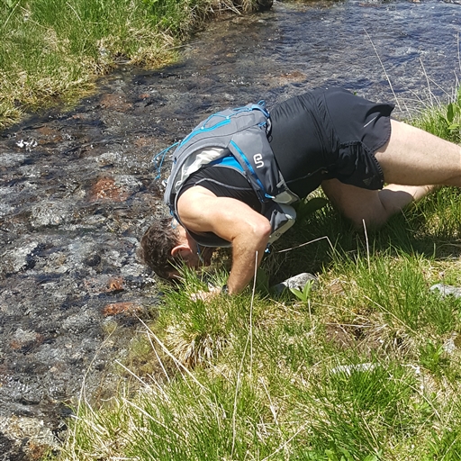 Bild uppladdad av Peter P