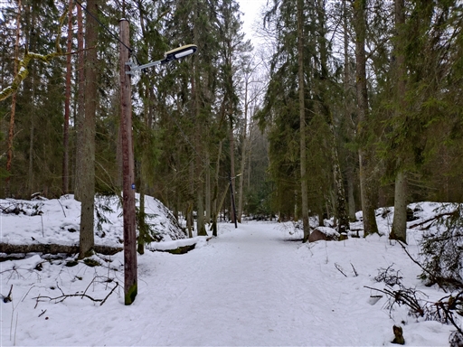 Bild uppladdad av Samuel