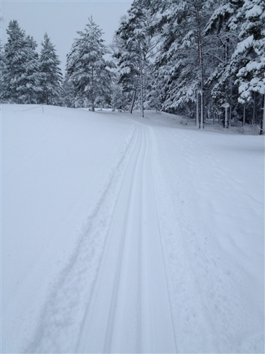 Bild uppladdad av Kenneth Ideskog