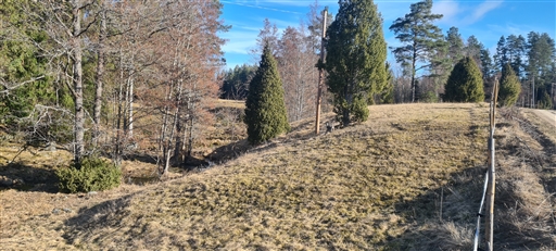 Bild uppladdad av Henrik Ortman