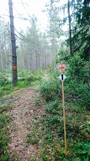 Bild uppladdad av Åsa 