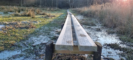 Bild uppladdad av Nicklas Nordborg