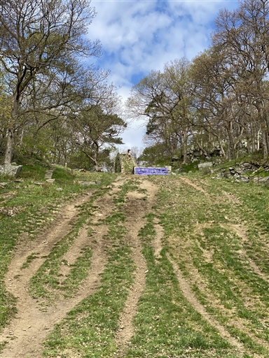 Bild uppladdad av Annakarin Lemon