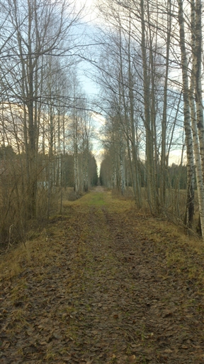 Bild uppladdad av Emil Råberg