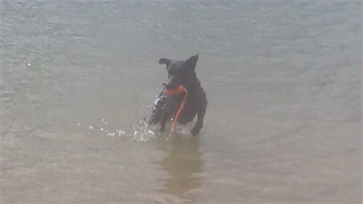 Bild uppladdad av Birger Olsson