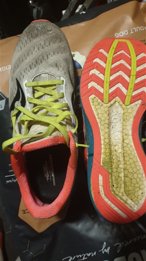 Bild uppladdad av Thomas Abrahamsson 