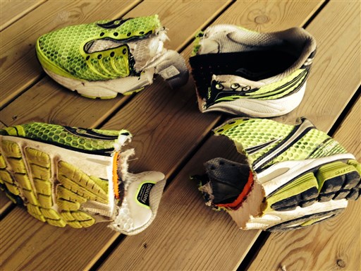 Bild uppladdad av Niklas Pettersson