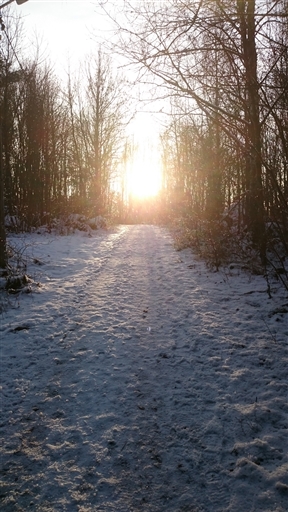 Bild uppladdad av Niclas Johansson 