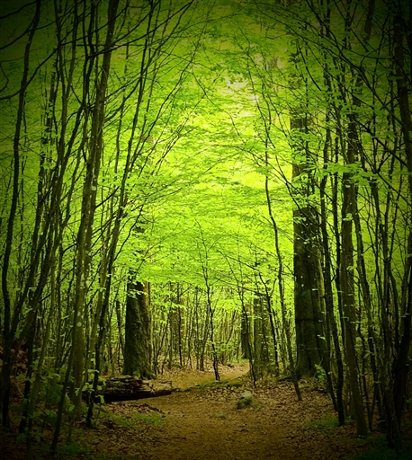 Bild uppladdad av Nicklas Nordborg