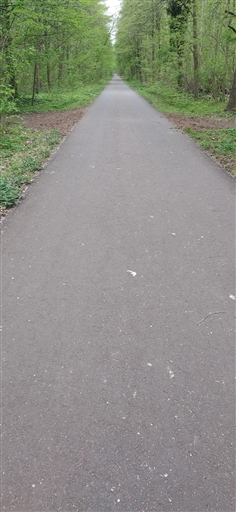 Bild uppladdad av Jens Sandahl