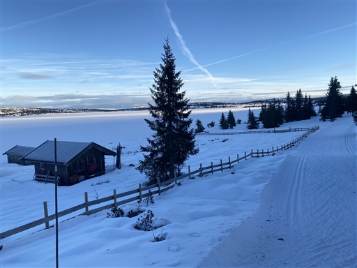 Bild uppladdad av Kicki Dahlberg 