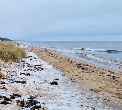 Bild uppladdad av Nicklas Nordborg