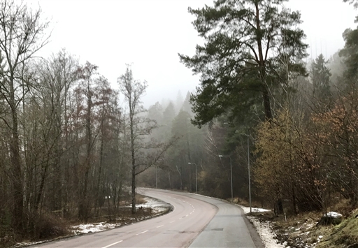 Bild uppladdad av Hobbylöparn