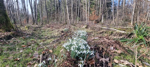 Bild uppladdad av Nicklas Nordborg