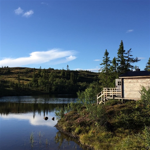 Bild uppladdad av Martin  