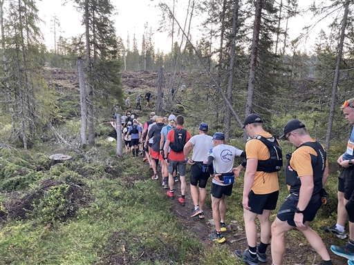 Bild uppladdad av Anonymiserad