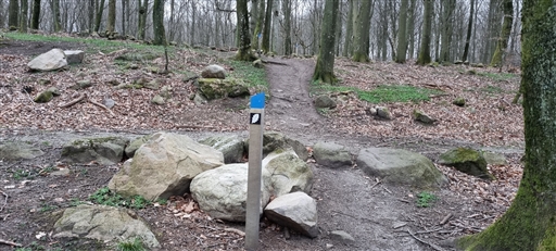 Bild uppladdad av Nicklas Nordborg