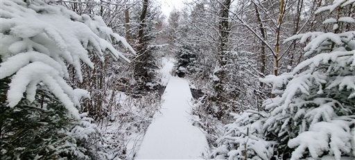 Bild uppladdad av Nicklas Nordborg