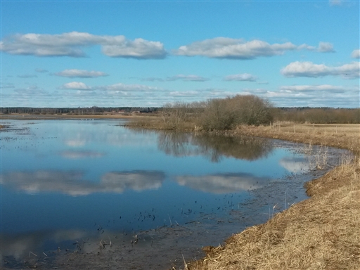 Bild uppladdad av Henrik Ortman