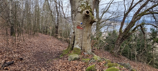 Bild uppladdad av Nicklas Nordborg