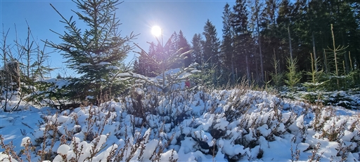 Bild uppladdad av Nicklas Nordborg