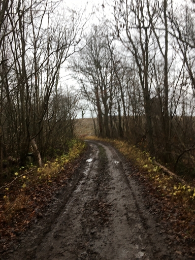 Bild uppladdad av Anita Jönsson