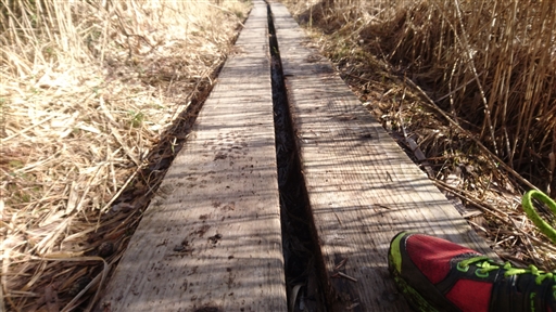 Bild uppladdad av Monica Carlsson